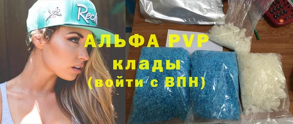 индика Аркадак
