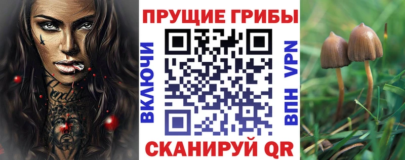 Галлюциногенные грибы GOLDEN TEACHER  наркотики  mega сайт  Олёкминск 